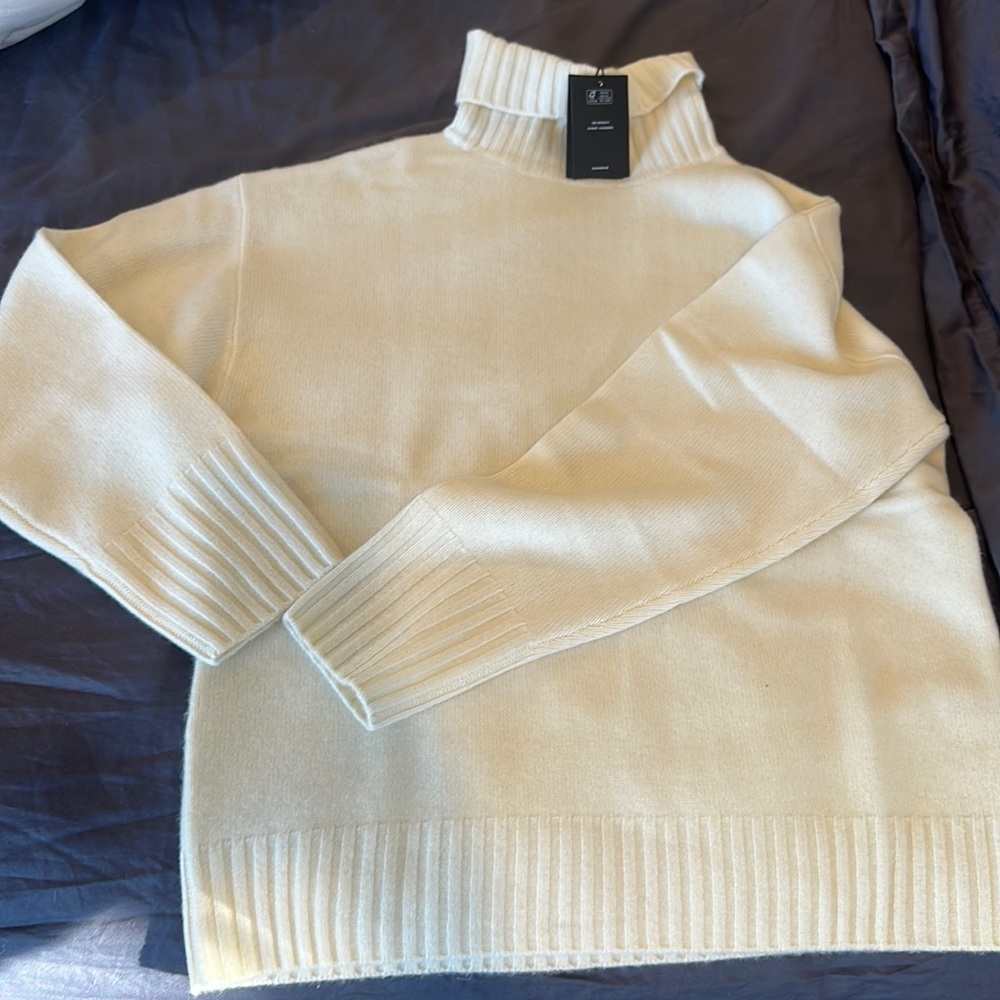 Naadam Luxe cashmere turtleneck tunic sweater